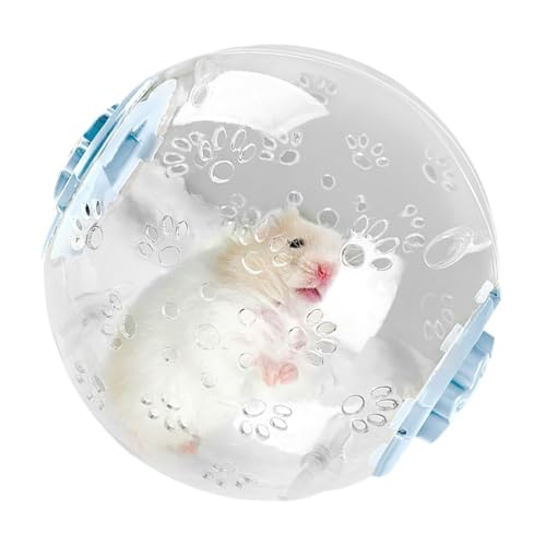 nX^[{[AnX^[GNTTCY{[ | ȃTCgjOnX^[zC[,|[^u@\zC[P[WANeBreBƑ̗FB̂߂̊yVю