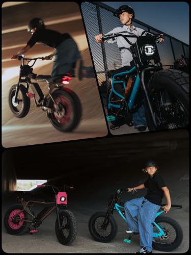 Electric Folding Mountain Bike