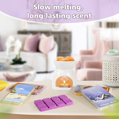 Image of SCENTORINI Wax Melts, Wax Cubes Strong Scent for Healing, 2.5 oz 4-Pack | Summer Relax Scented Wax Melts for Warmer - Lemon Green Tea /Strawberry Blackcurrant /Raspberry Orange /Ocean Grass Bellflower