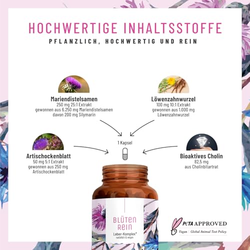 Blütenrein Mariendistel Artischocke Löwenzahn Kapseln - Leber Komplex mit Cholin für die normale Funktion der Leber - Mariendistel Hochdosiert 80% Silymarin 200 mg - 120 Kapseln - 4 fach Komplex