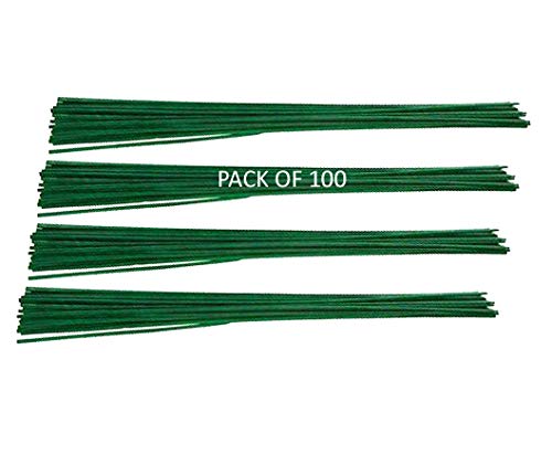 Britten & James 60cm Plant Support Bamboo Sticks [Pack of 100] Weather Resistant, Long-Lasting and Eco-Friendly. Perfect for Aiding and Nurturing Plant Growth