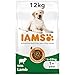 Price comparison product image IAMS Adult Large Complete Dry Dog Food Lamb 12kg - With DentalCare System