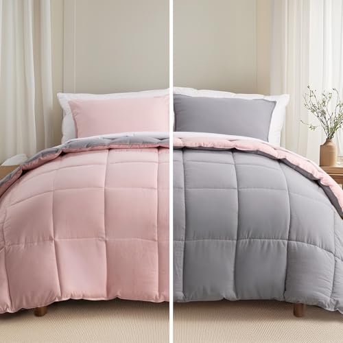 KASENTEX Reversible No-Shrink Queen Size Comforter Set and 2 Shams - Down Alternative Duvet Insert with Corner Ties, Lightweight, Ultra Soft, Machine Washable, All-Season (Pink Potpourri/Sil