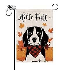 Fall Beagle