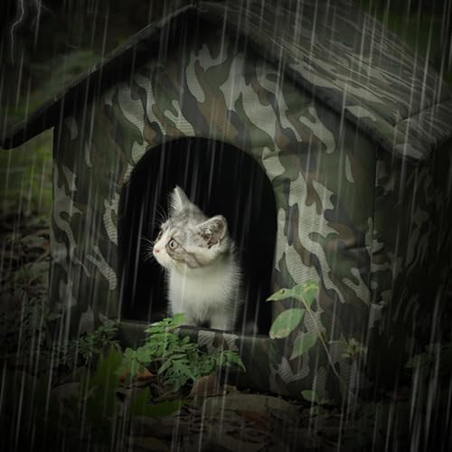 Refugio para cachorros al aire libre contra el frío y la lluvia 4