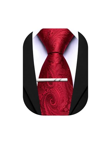 Image of Barry.Wang Paisley Tie for Men Silk Woven Necktie and Tie Clip Set Wedding Party Business Formal