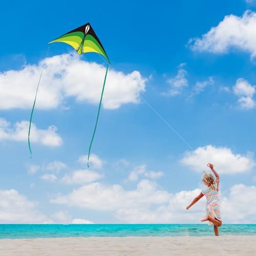 YFAFENGS Large Delta Kite for Kids & Adults - Easy to Fly Outdoor Kites for Kids Ages 8-10, Perfect for Beach & Family Activities, Includes Line & Handle (Green Kite)