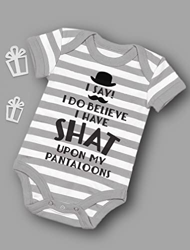Tstars Funny Baby Outfit Newborn Girl Boy Clothes Babies Gift Infant Bodysuit Pants Set 6M Gray/White #TOP3