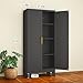 RISTERN Black Metal Storage Cabinet, 61