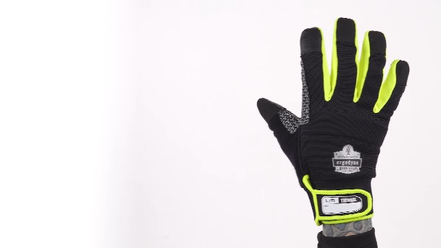 Ergodyne ProFlex 850 Insulated Freezer Gloves, Grip Palm, Touch