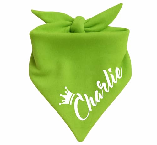 Hunde Dreiecks Halstuch (Fb: Lime) (Gr. 1 (55 cm)) Name des Hundes