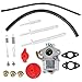 Produktbild AISEN Vergaser Satz für Briggs & Stratton 798917 695727 790558 791292 791953 794587