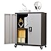 LUCYPAL Metal Storage Cabinet with 2 Doors,Steel Storage Cabinet with Adjustable Shelves and Wheels,Locking Tool Cabinets for Office,Home,Garage,Black&Grey 31.5