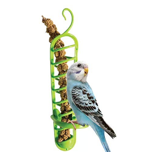 Parrot Bird Treat Holder- Hanging Plastic Bird Food Feeders for Fruit Vegetable Grain Wheat, Parrots Feeder Basket Foraging Toys for Birdcage, Bird Cage Feeding Device for Conures Parakeets Cockatoos