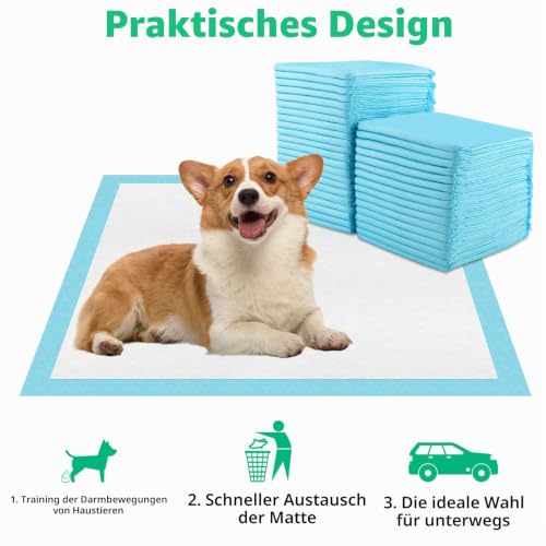 Vexillic PIPI Matten für Hunde, 40 Stück Welpen Unterlagen, 60 x 60cm Trainingspads für Hunde Hygieneunterlagen Auslaufsicher 6-Lagig mit Schnell Trocknender Oberfläche Design (40, 60 * 60 cm)