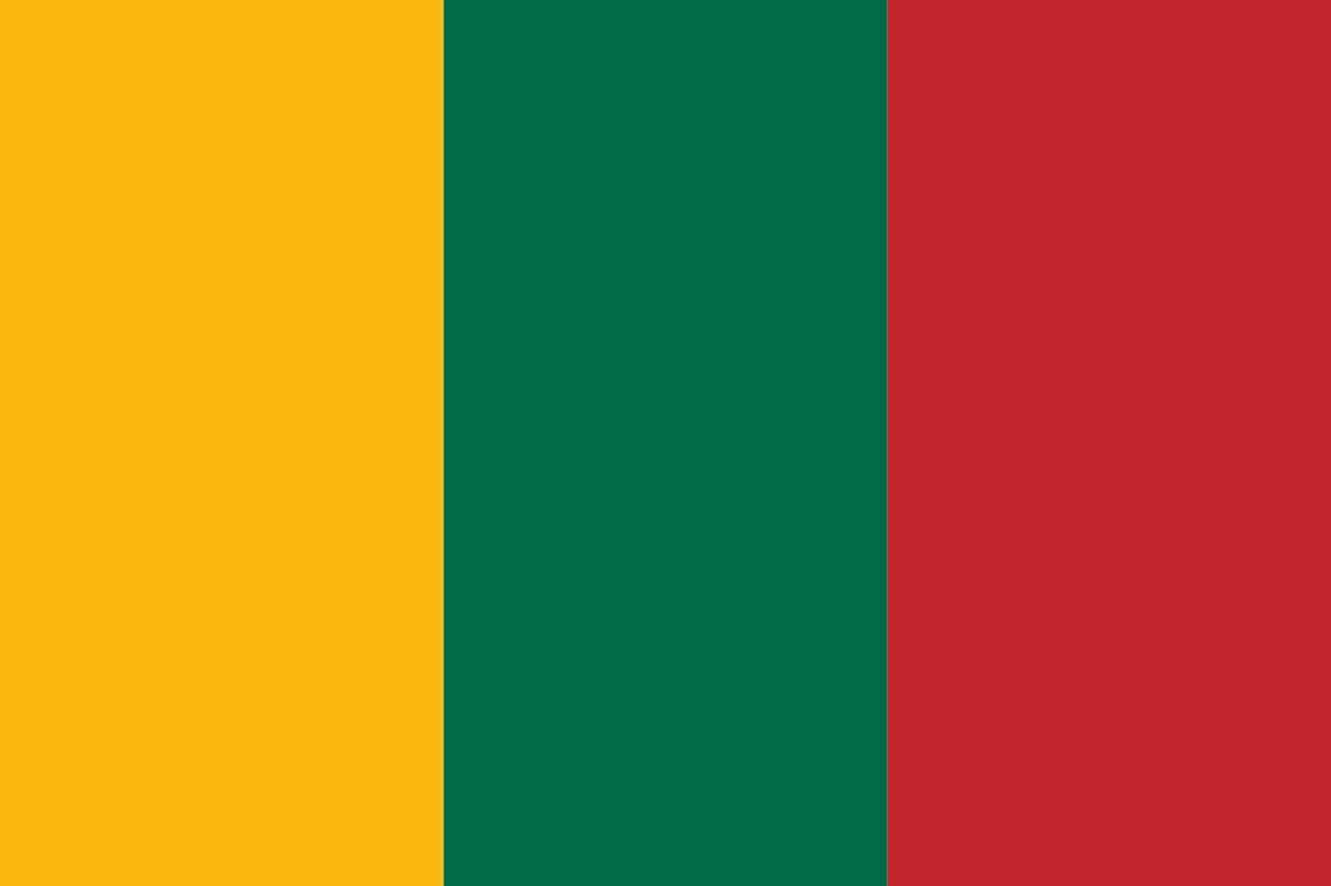 Drapeau Lituanie avec colonnes historiques grand format paysage pour décoration extérieure