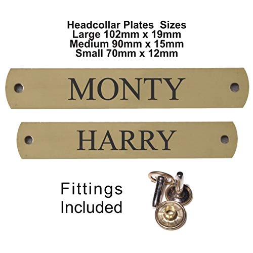 Richardson Designs Placa de latón macizo personalizable (varios tamaños)  Incluye grabado y remaches