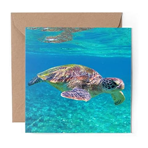 Greeting Card with Tropical Sea Turtle Design Cover