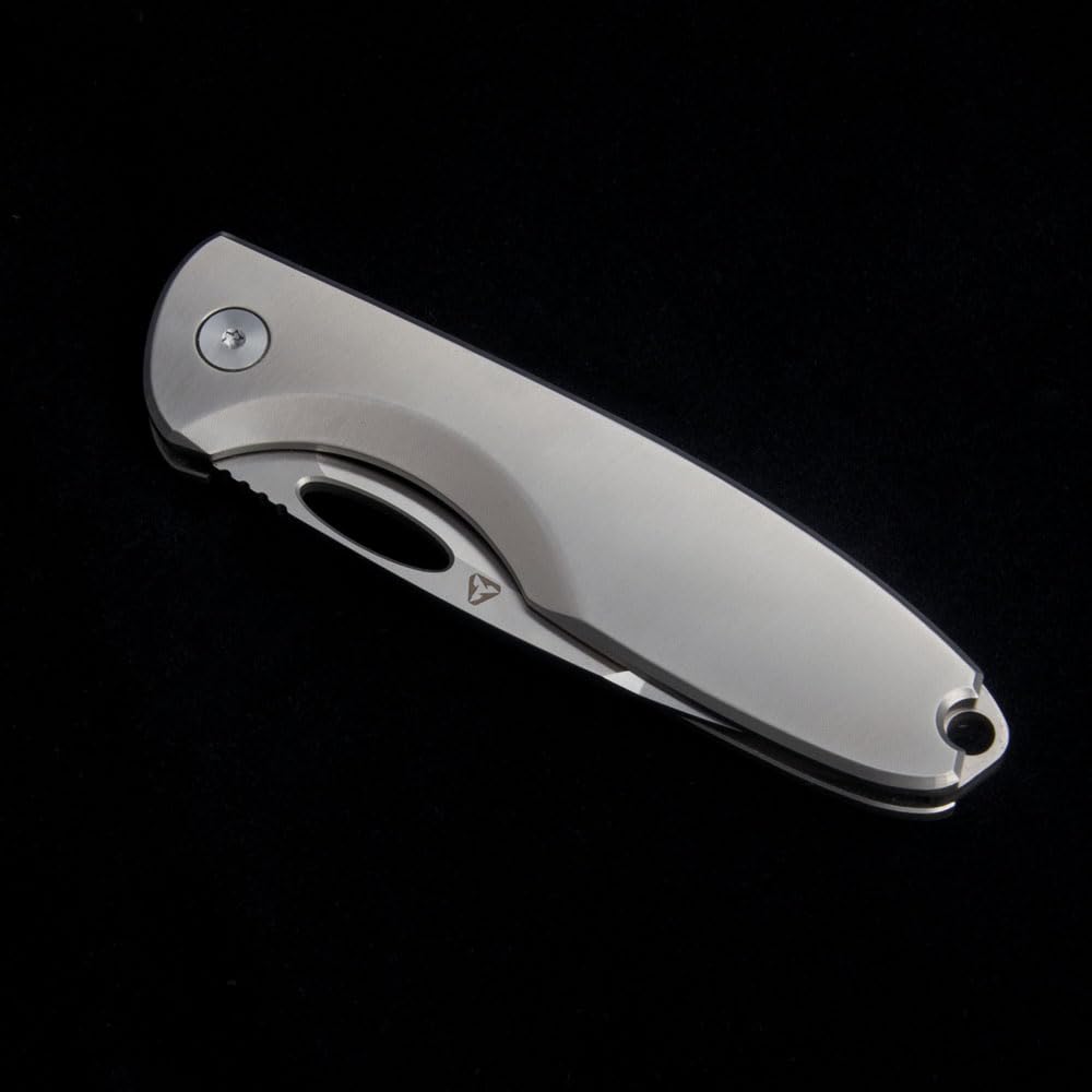 Coltello tascabile pieghevole D2 Lama Titanio Maniglie EDC Coltello per Outdoor Camping Regali