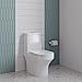 Bron One-Piece Elongated Toilet Dual Vortex Flush 1.1/1.6 gpf