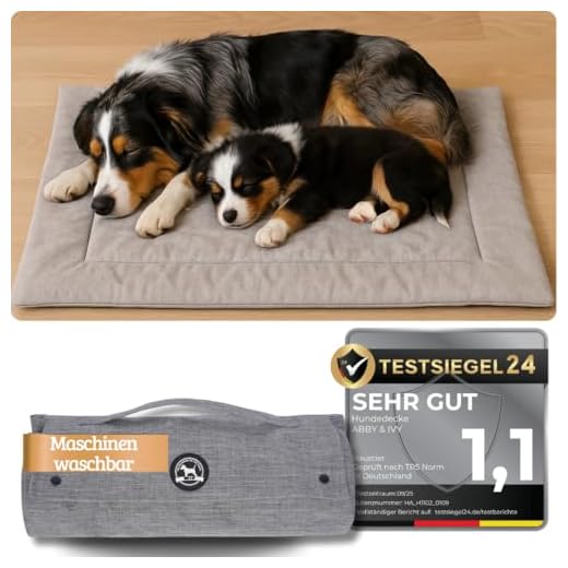 Rutschfeste Hundedecke für Reisen