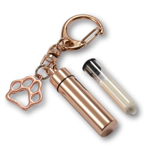 Pettieland ⍜ JvZ L[z_[ KXǕt d\ lbNX y_g  ~j  L   ybg  茳{   AObY `[t (sNS[h)