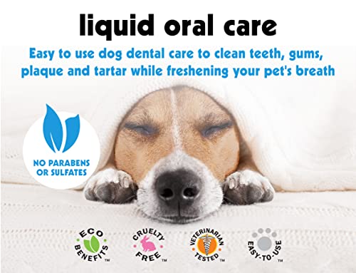 Petkin Liquid Oral Care, 8 Fl Oz - Simply Add This Pet Dental Water Additive To Your Pet's Daily Drinking Water For Clean Teeth, Gums, & Fresher Breath -Invisible Formula Has No Taste, Color, Or Smell #TOP2