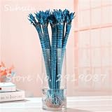 SwansGreen 20 Pcs Rare Exotic Lucky Bamboo Seeds Colorful Moso Bamboo Bambu Seeds (Golden Bamboo) Perennial Beauty Indoor Decoration 16