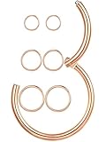 Rose Gold Nose Rings Hoops 18G , Surgical Stainless Steel 18 Gauge Small Hinged Segment Nose Ring Septum Clicker Nostril Piercing Jewelry, Endless Seamless Sleeper Hoops Tiny Thin Huggie Hoop Earrings Set for Cartilage Helix Daith Tragus (6/8/10mm)