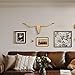 Halloween Skeleton Bison Bull Skull Wall Decor Cow Skull Wall Decor Head Longhorn Sculptures Wall Plaque Art Crafts Ornaments Bull Horns Decor Environmental Friendly and Resin Skull Sculpture Wall