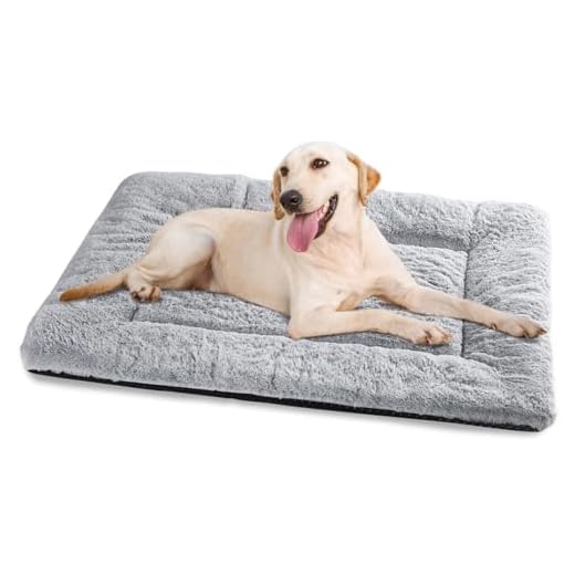Baodan Dog Bed Large Washable, Pet Cat Beds Cushion Mattress, Soft Warm Dog Crate Mat Pad for Medium Large Dogs- L 90x60 cm, Grey