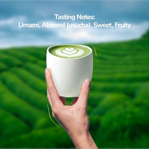Image of TeaFit Ceremonial NO SUGAR Instant Matcha Latte Premix, 180g (10 Sachets) from Uji, Japan | Vibrant Green, Velvety Smooth Japanese Matcha with Unsweetened Milk | Coffee Alternative | Diabetic Friendly
