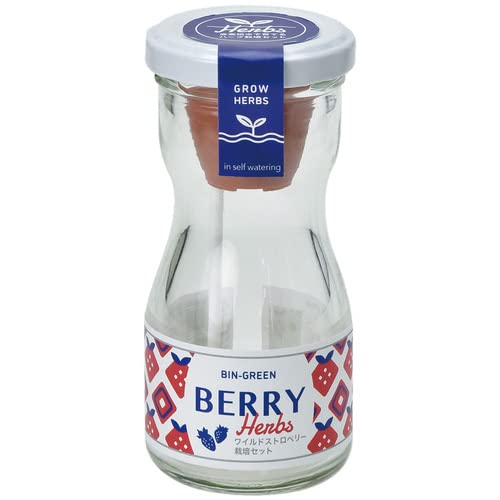 Amazon｜聖新陶芸 ビングリーン ワイルドストロベリー サイズ:約φ5.1