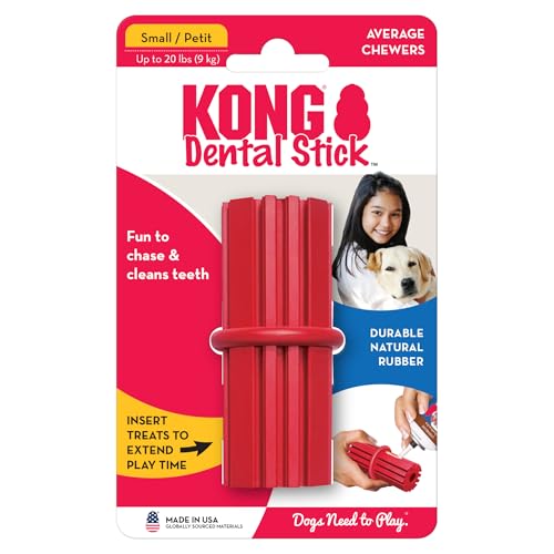 KONG Dental Stick - Für die Zahnpflege von Hunden - Befüllbares Kauspielzeug - Reinigt Zähne & Zahnfleisch - Hergestellt aus strapazierfähigem Naturkautschuk - Für Kleine Hunde