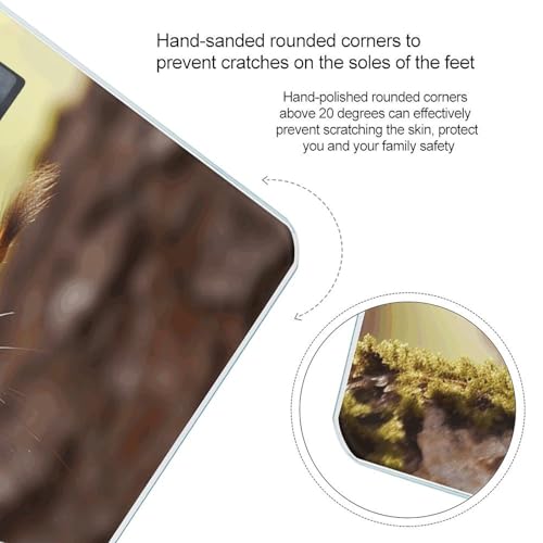 Báscula digital Funny Squirrel de vidrio templado miniatura 4