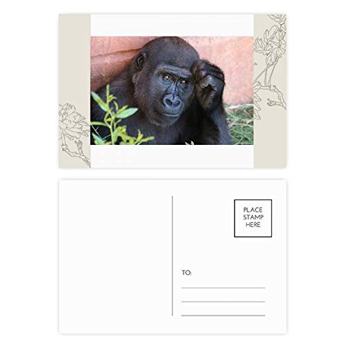 Carte postale fleur et chimpanzé pour dire merci avec tendresse à vos proches