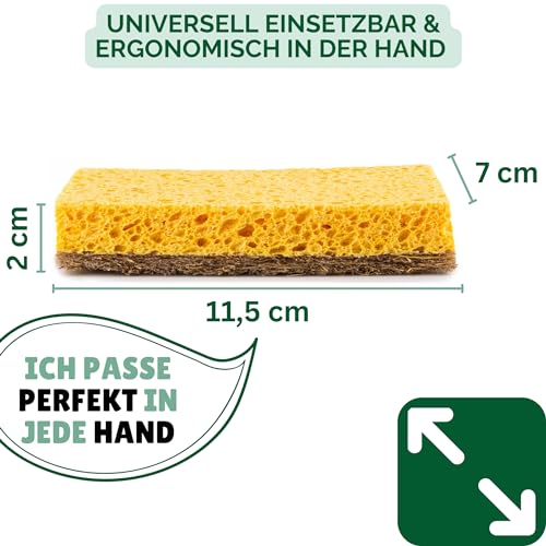 Spülschwamm Protea aus nachhaltigen Kokosfasern, 6er Set
