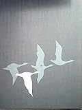  Fugleflugtslinien - Vogelfluglinie (dän./dt.)