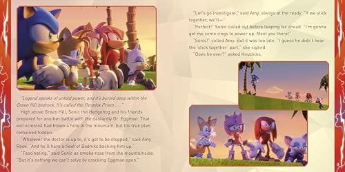 Image of Sonic vs. New Yoke City (Sonic the Hedgehog)