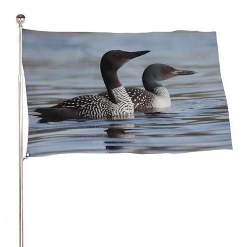 Drapeau d'oiseaux huards grand format double face - Bannière décorative de porche et cour