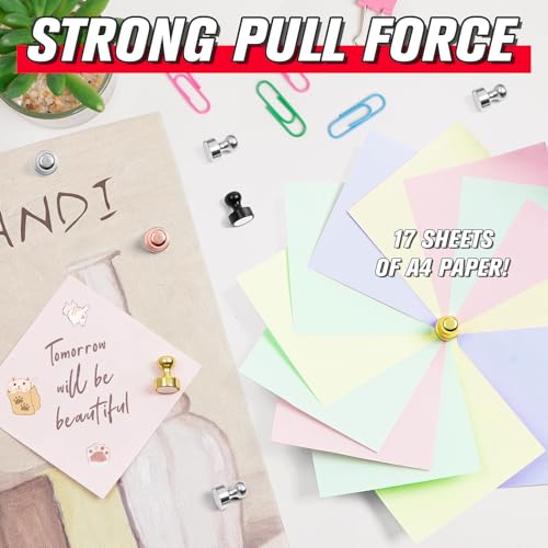 FINDMAG Fridge Magnet, Strong and Small Refrigerator Magnets for Adults, Cute Locker Magnet, Cool Decorative Dry Erase Board Magnets for Whiteboard, Office, Kitchen, Classroom, Home Decor, Pack of 6 image 5