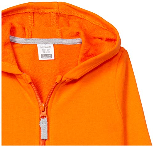 Image of LC WAIKIKI Boys Jacket