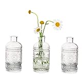 Vielseitiges Blumenvasen-Set: Diese kleinen Glasvasen sind mehr als nur eine recycelte Tischvase, sondern auch ein hübsches Terrariumgefäß und eine niedliche Glaskerzenvase für das Wohnzimmer, eine moderne Rohrdiffusorflasche für Ihr Badezimmer und können auch als Abschiedsgeschenke für Geburtstage, Baby-Duschen und Hochzeitssouvenirs verwendet werden.