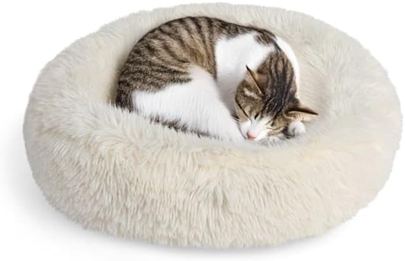 EveryYay by Petco Shag Round Cat Bed 20" L X 18" W X 7" H Small