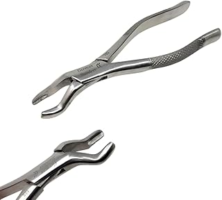 Dental Extracting Extraction Forceps #10S Heavy Duty Stainless Steel Instruments Comes in Serrated Beaks & Ridged Handle for Better Grip