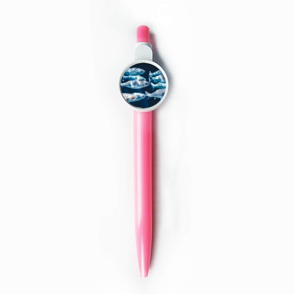 Stylo à bille rétractable animaux marins bleu pour écriture manuscrite - 5