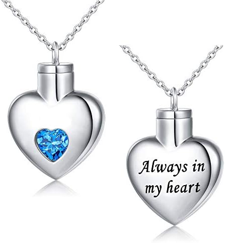 Flyow Cremation Jewelry for Ashes 925 Sterling Silver Urn Necklaces for Ashes Keepsake Memorial Jewelry Gifts for Women Men Pet