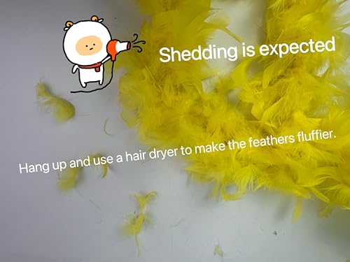 Flydreamfeathers FDBC22548 Over 10 Color 25 Gram, 4 Feet Long Chandelle Feather Boa,Kids Feather Boa thumb #7