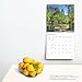 Philadelphia | 2025 12 x 24 Inch Monthly Square Wall Calendar | Plastic-Free | BrownTrout | USA United States of America Pennsylvania Northeast City