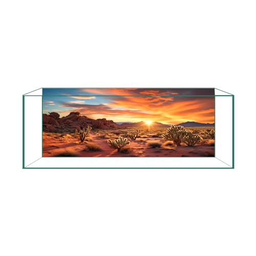 Aquarium Background & Terrarium Background Ultra HD Static Cling Tape-Free Desert Sunset Design for Reptile Tank Decorations Perfect for Bearded Dragon and Leopard Gecko Tanks 11.8 X 23.6 Inches